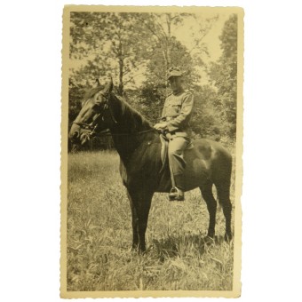 German Gebirgsjäger riding horse portrait. Espenlaub militaria